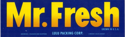 Mr. Fresh